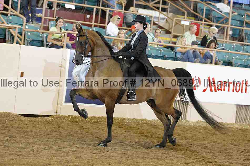 Proof Number 12yn_06892