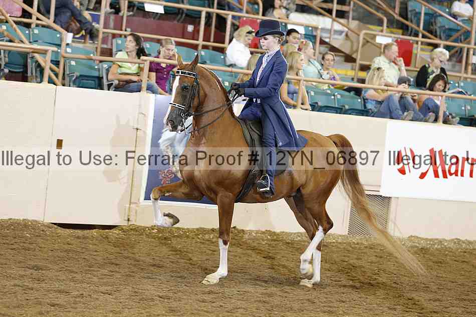 Proof Number 12yn_06897