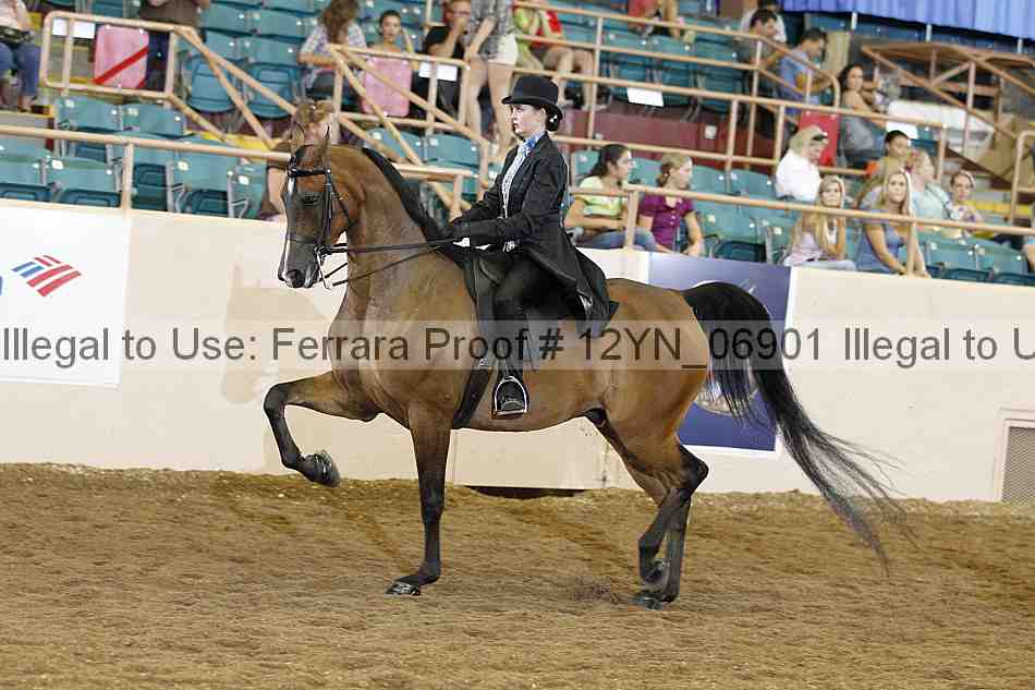 Proof Number 12yn_06901