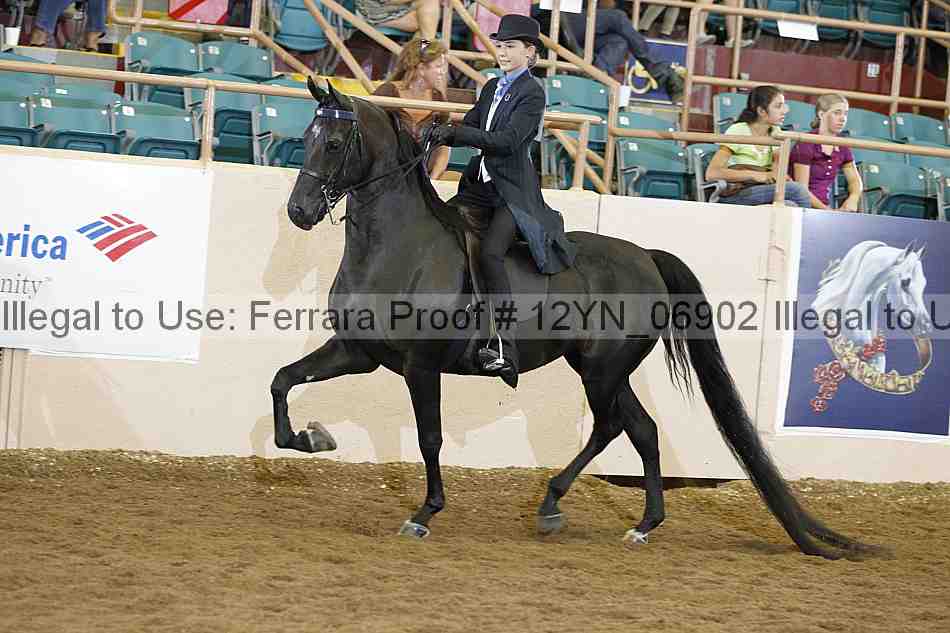 Proof Number 12yn_06902