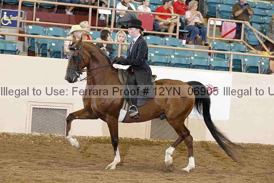 Proof Number 12yn_06905