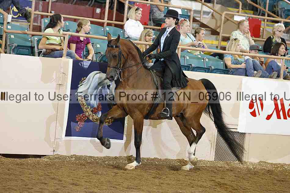 Proof Number 12yn_06906