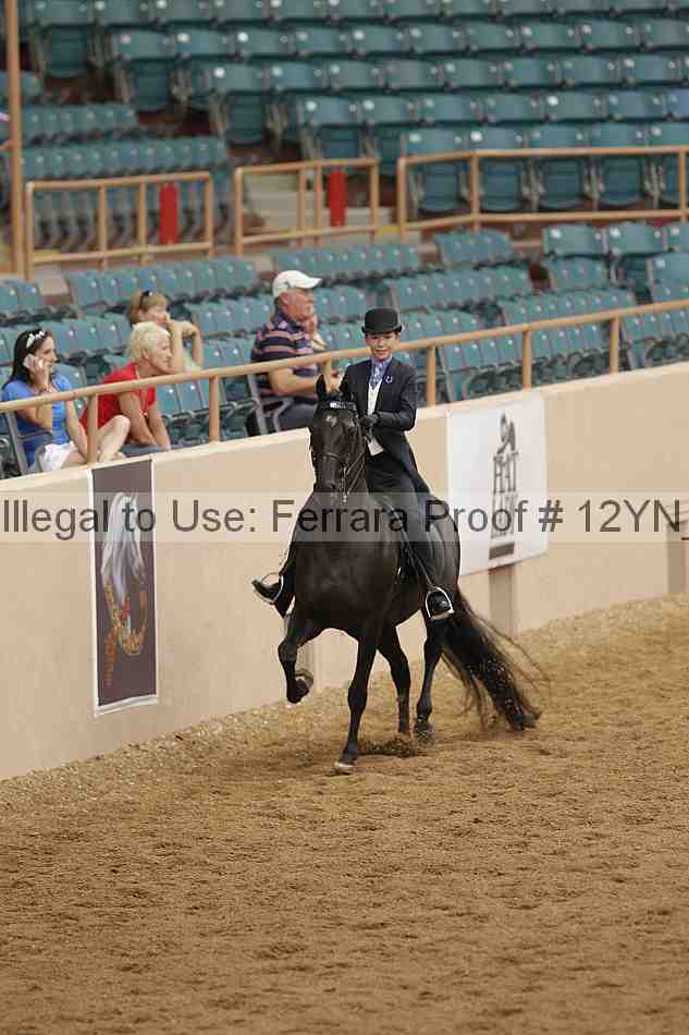 Proof Number 12yn_06909