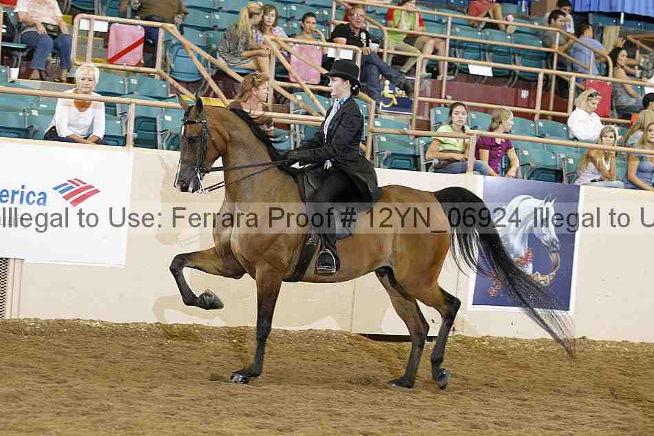 Proof Number 12yn_06924