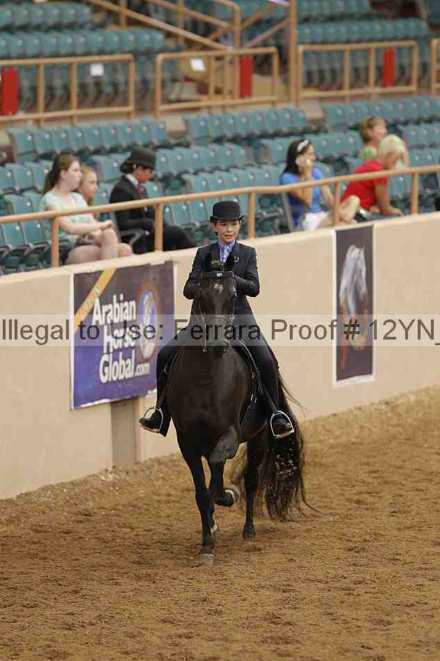 Proof Number 12yn_06925