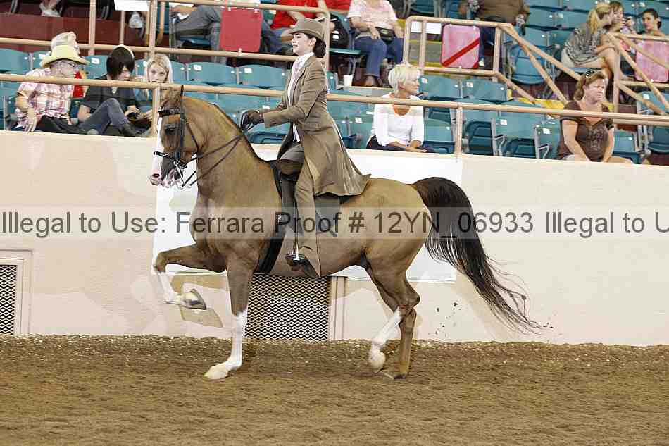 Proof Number 12yn_06933