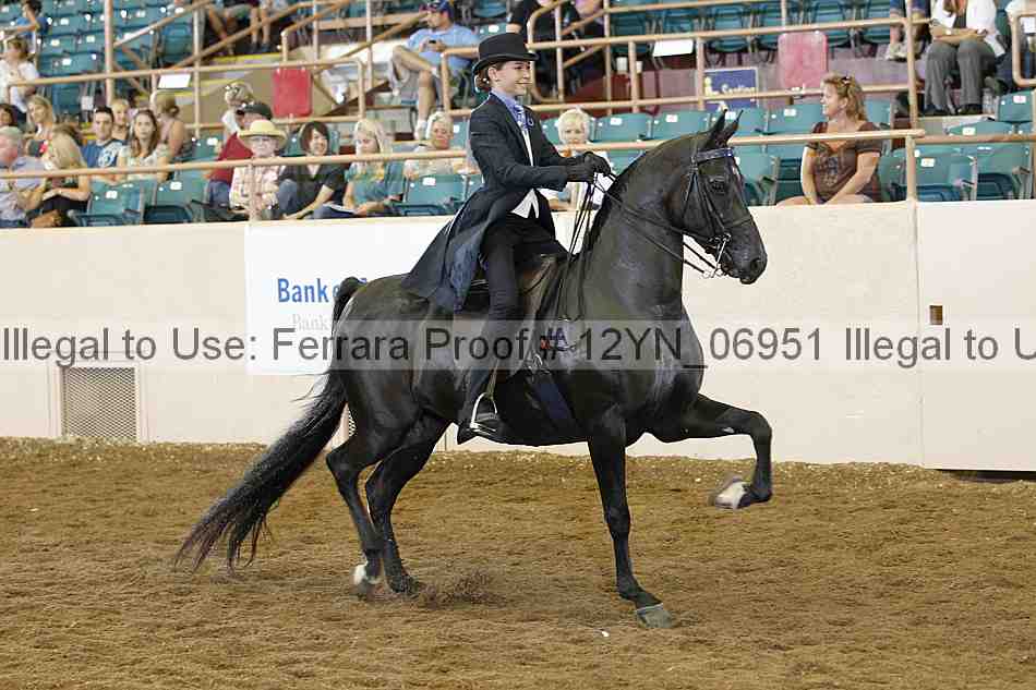 Proof Number 12yn_06951
