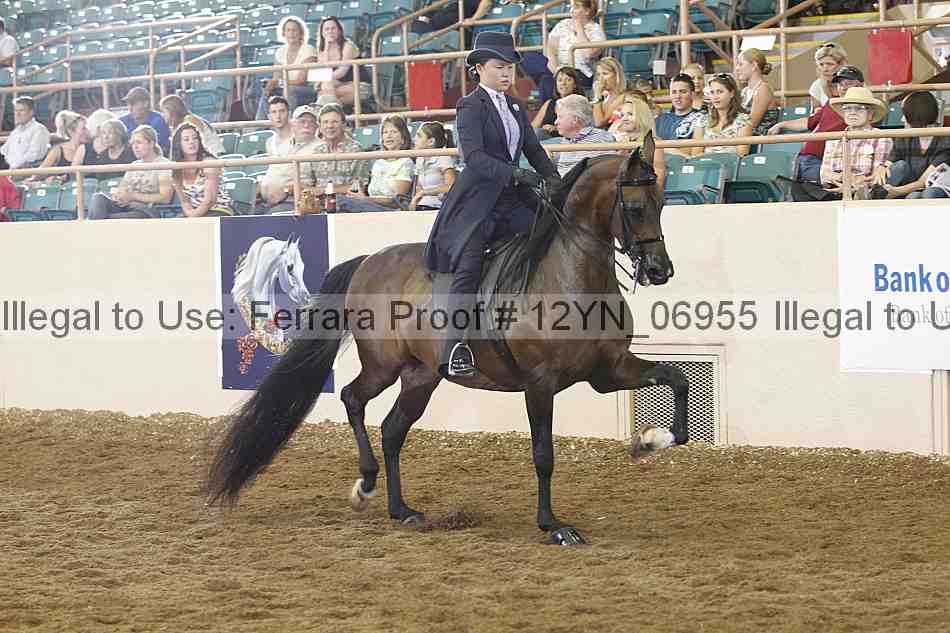 Proof Number 12yn_06955