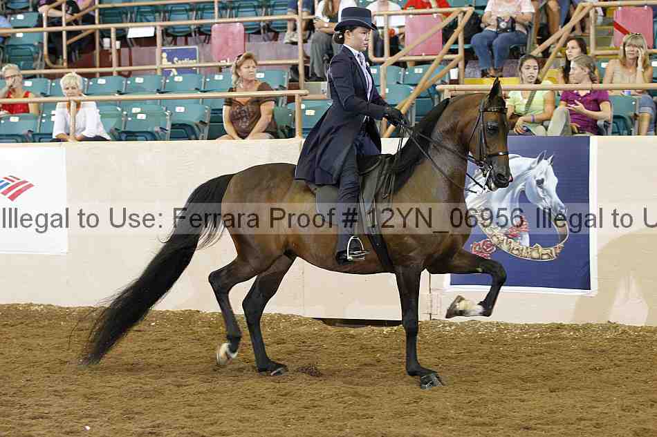 Proof Number 12yn_06956