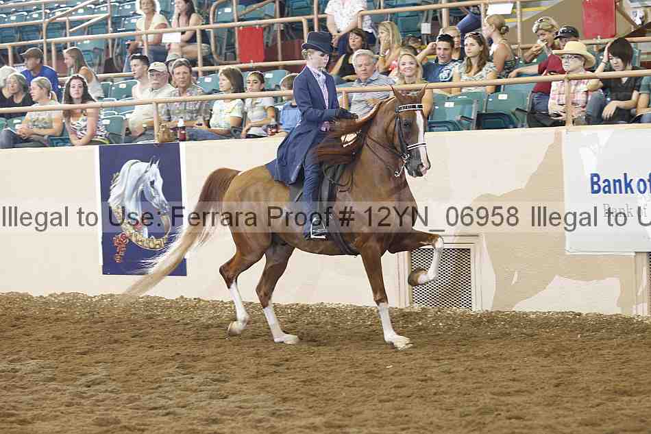 Proof Number 12yn_06958