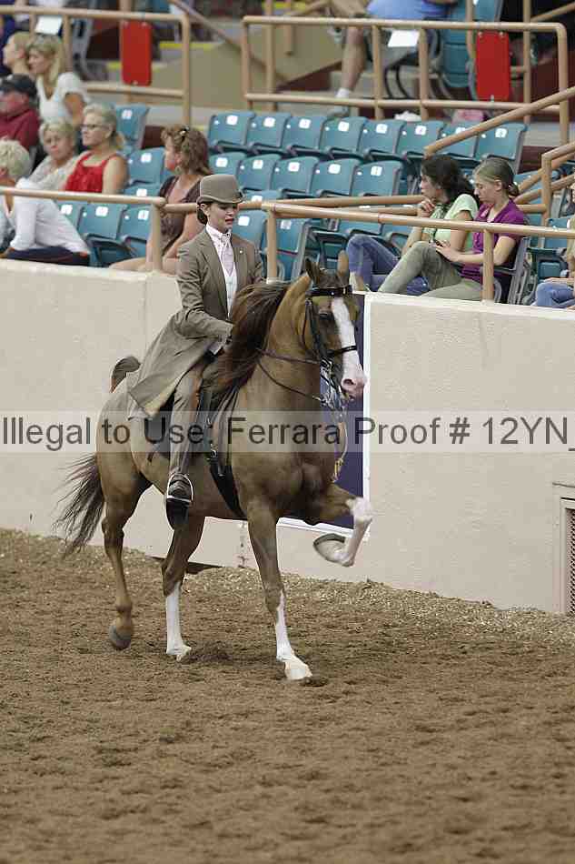 Proof Number 12yn_06963