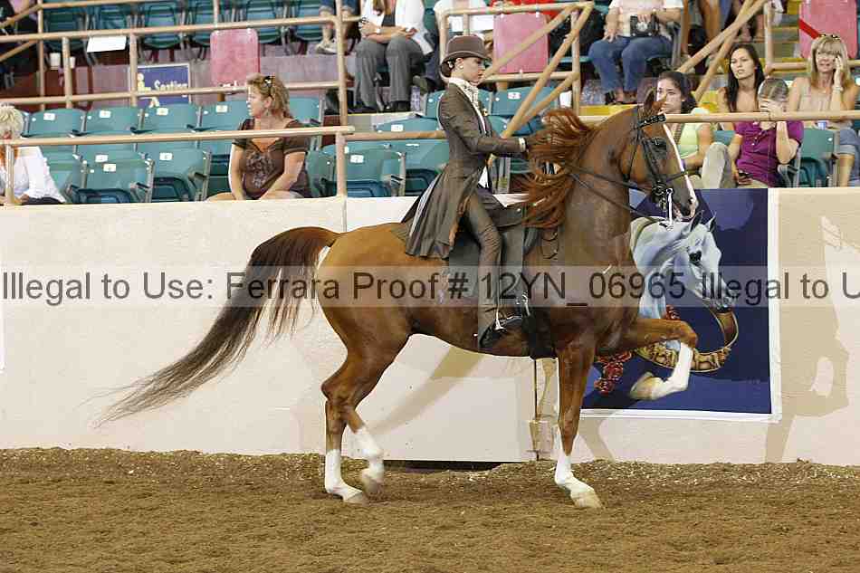 Proof Number 12yn_06965
