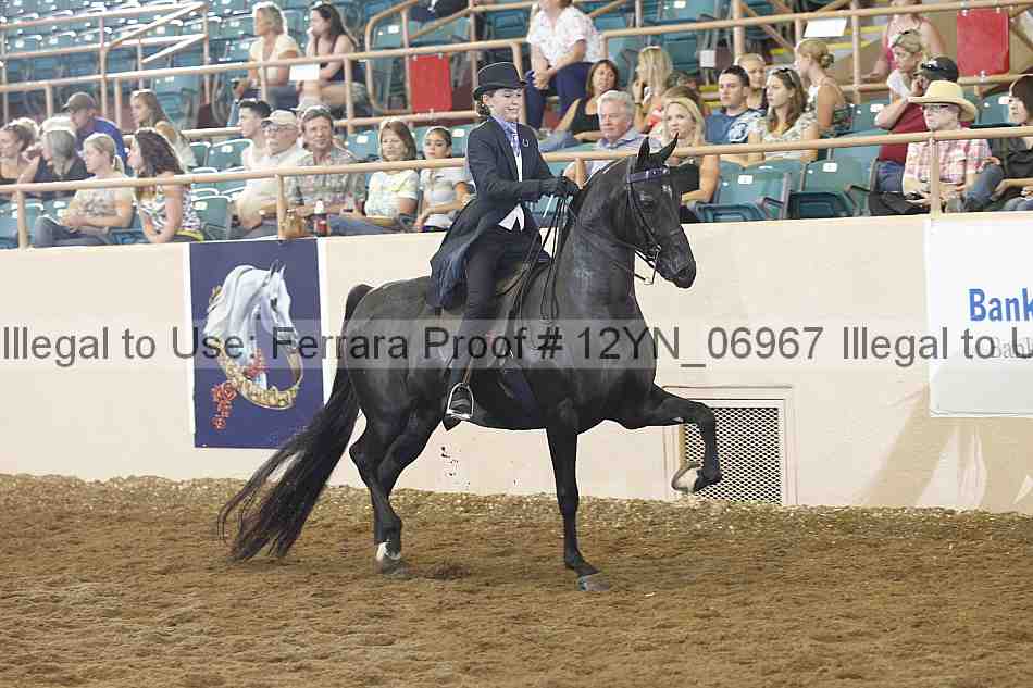 Proof Number 12yn_06967