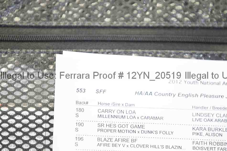 Proof Number 12yn_20519
