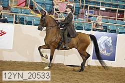 12yn_20533 thumbnail