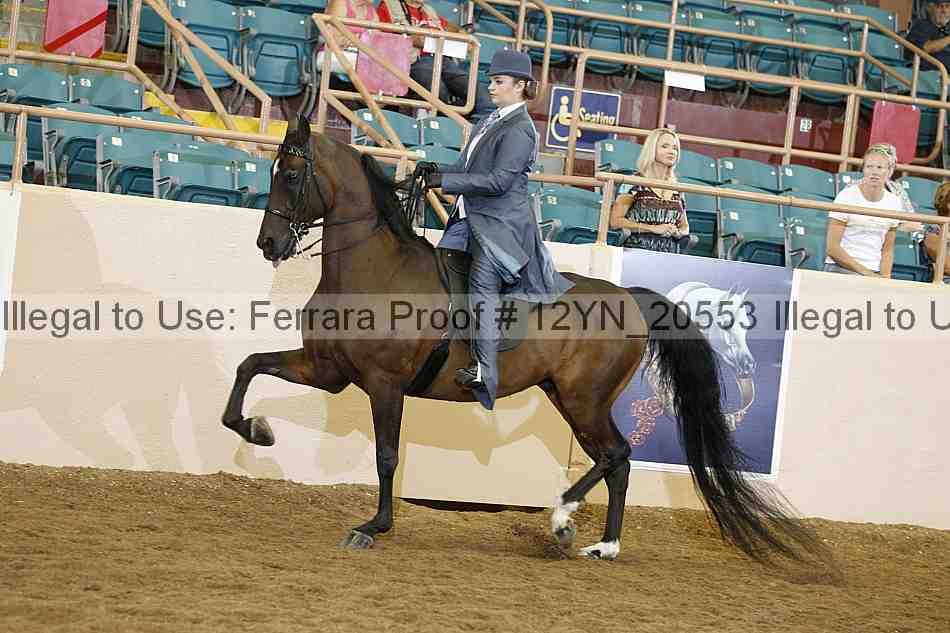Proof Number 12yn_20553