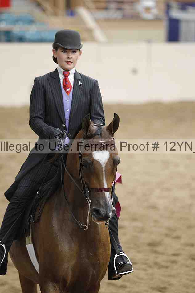 Proof Number 12yn_20579