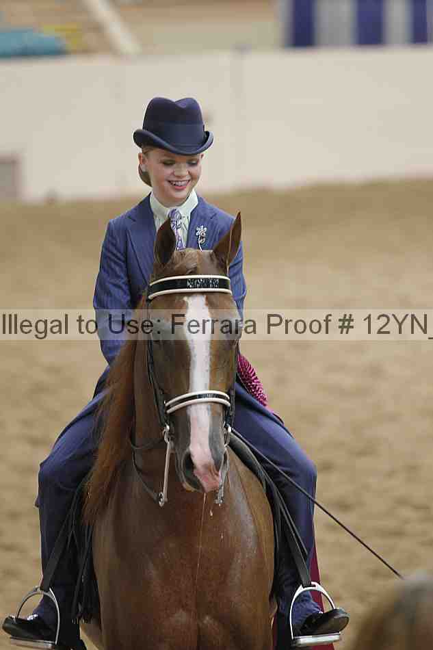 Proof Number 12yn_20594