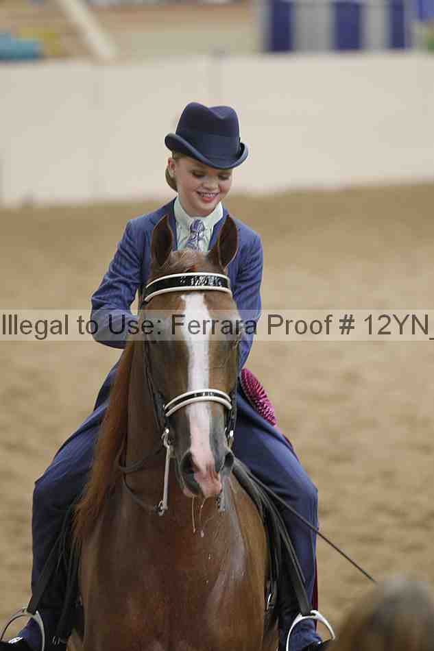 Proof Number 12yn_20595