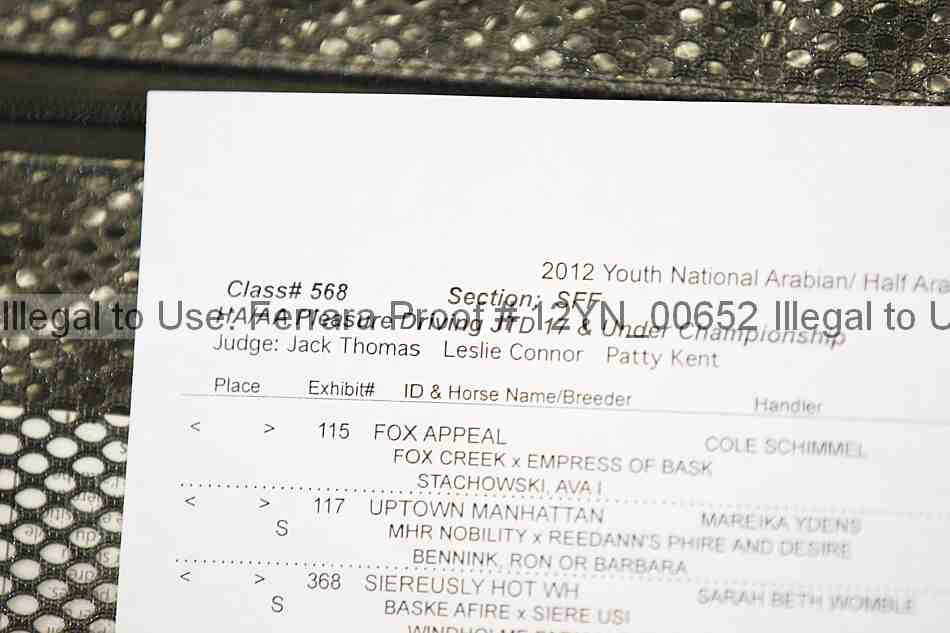 Proof Number 12yn_00652