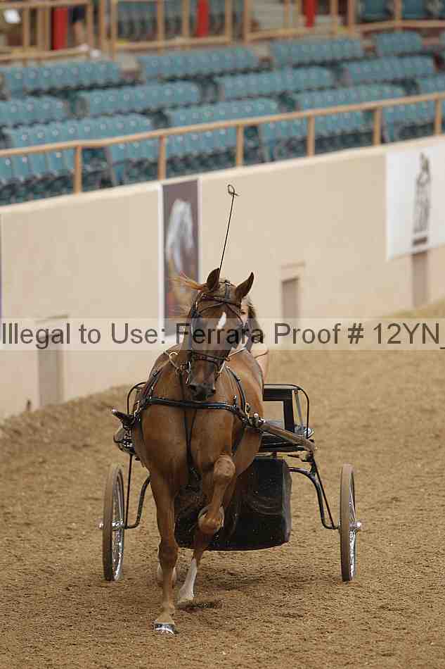 Proof Number 12yn_00674