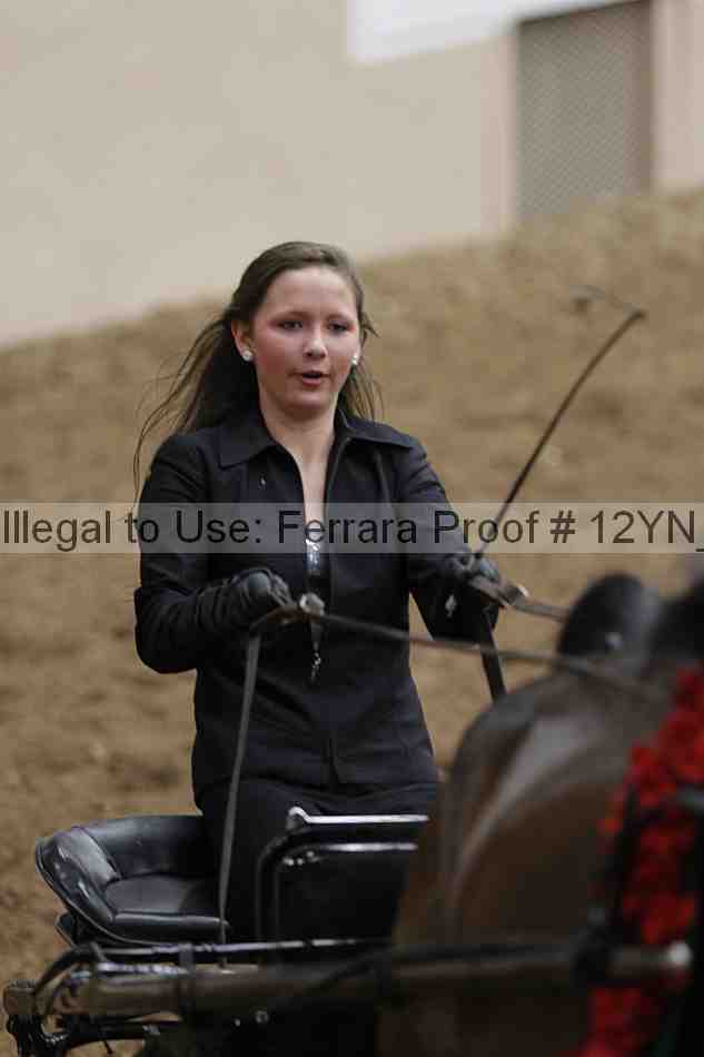 Proof Number 12yn_00757
