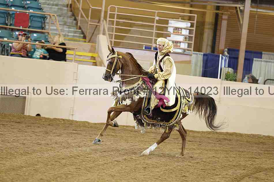 Proof Number 12yn_14023