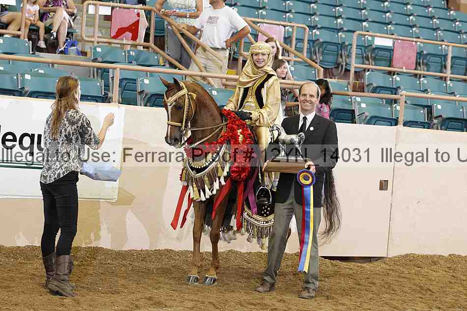 Proof Number 12yn_14031