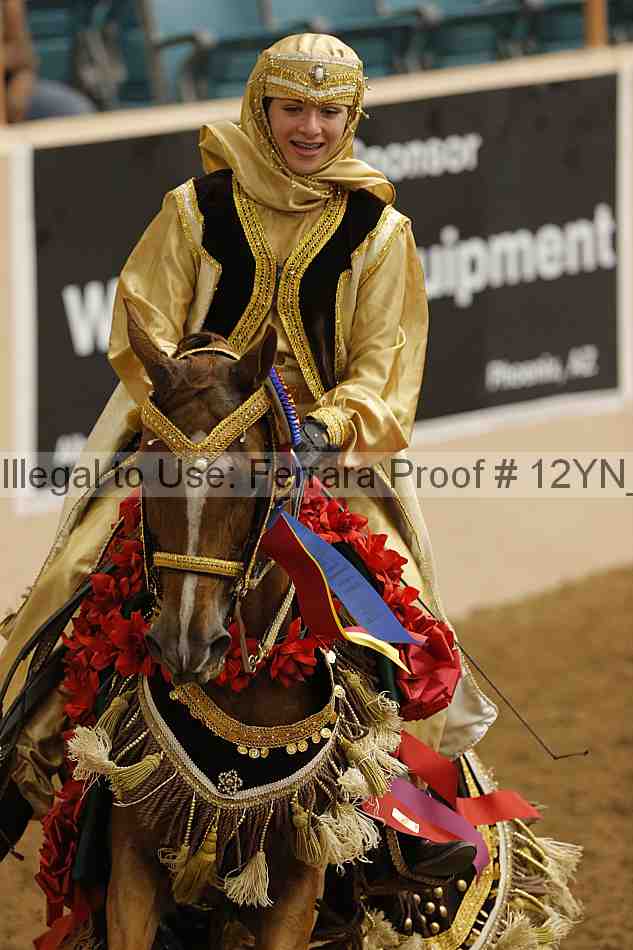Proof Number 12yn_14056