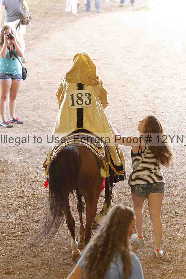 Proof Number 12yn_14061