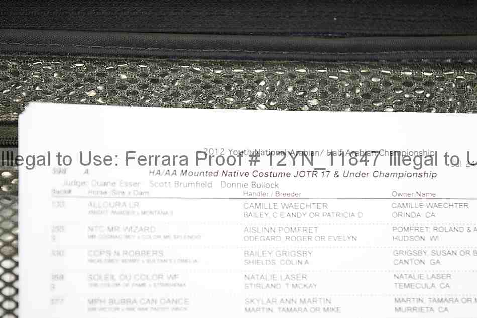 Proof Number 12yn_11847