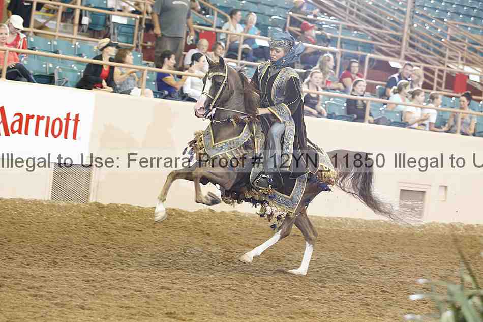 Proof Number 12yn_11850