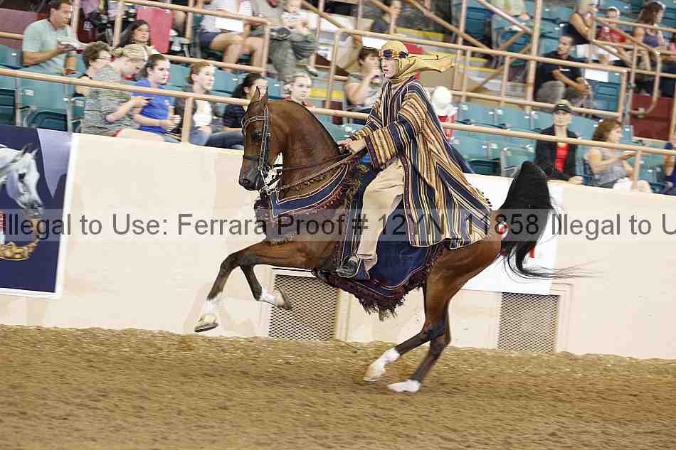 Proof Number 12yn_11858