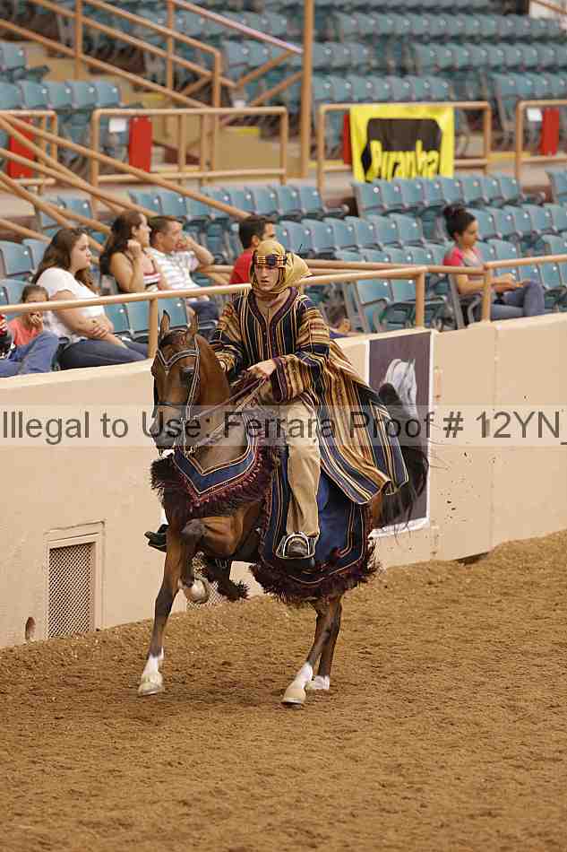 Proof Number 12yn_11902