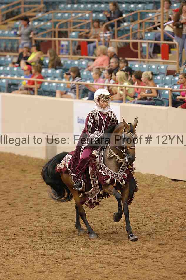 Proof Number 12yn_11905