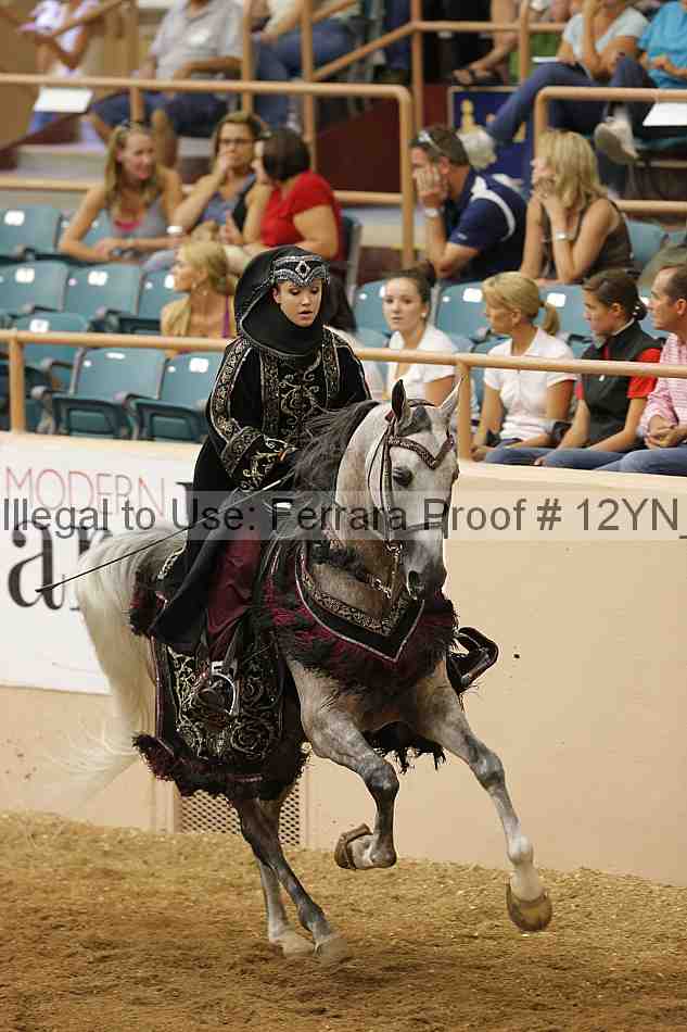 Proof Number 12yn_11907