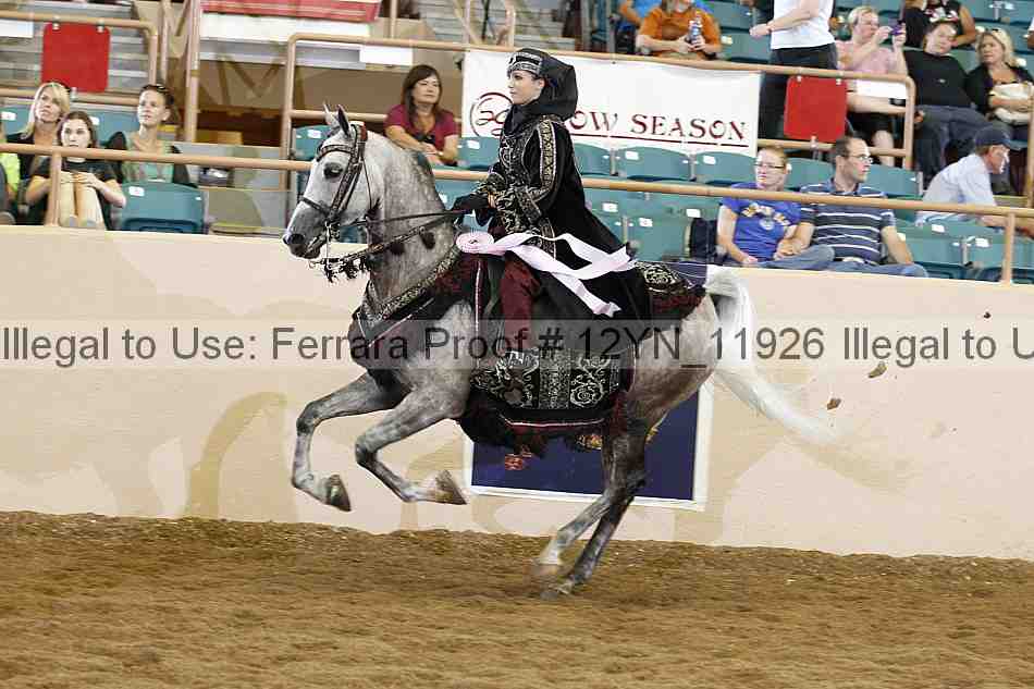Proof Number 12yn_11926