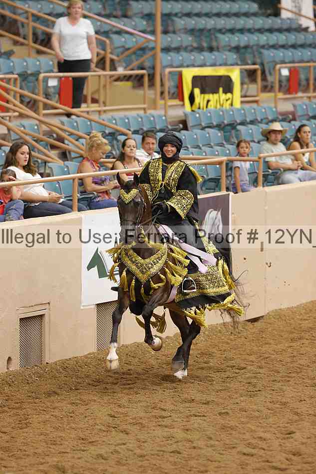 Proof Number 12yn_11929