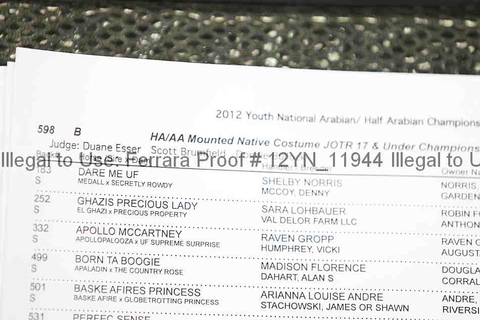 Proof Number 12yn_11944