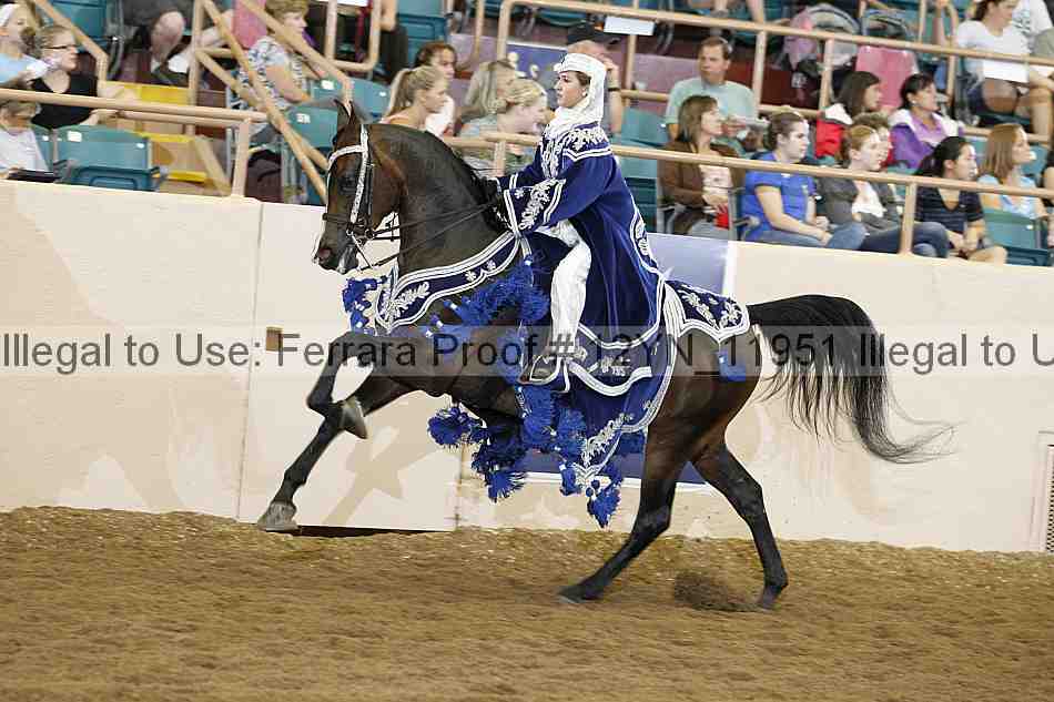 Proof Number 12yn_11951