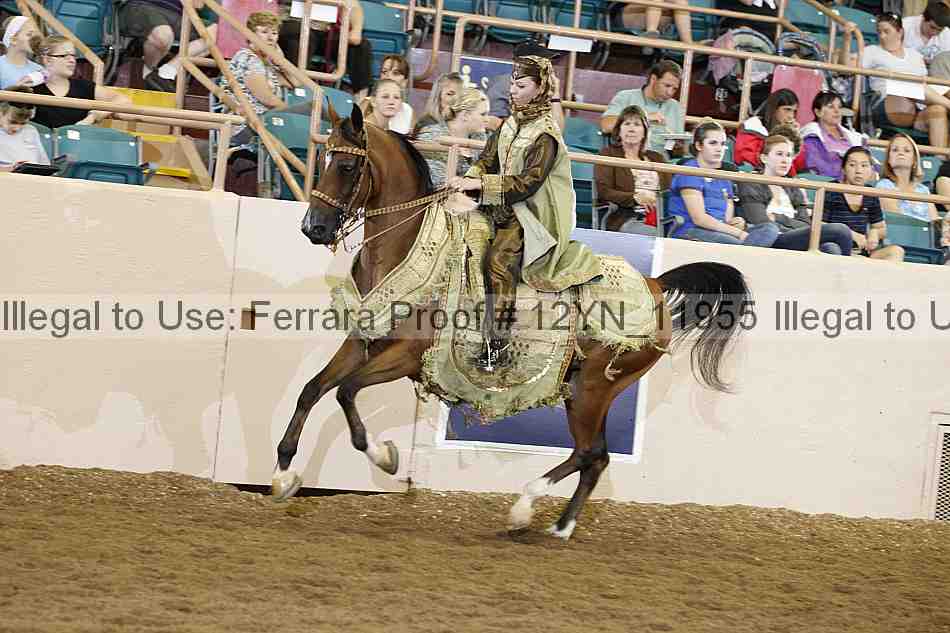 Proof Number 12yn_11955