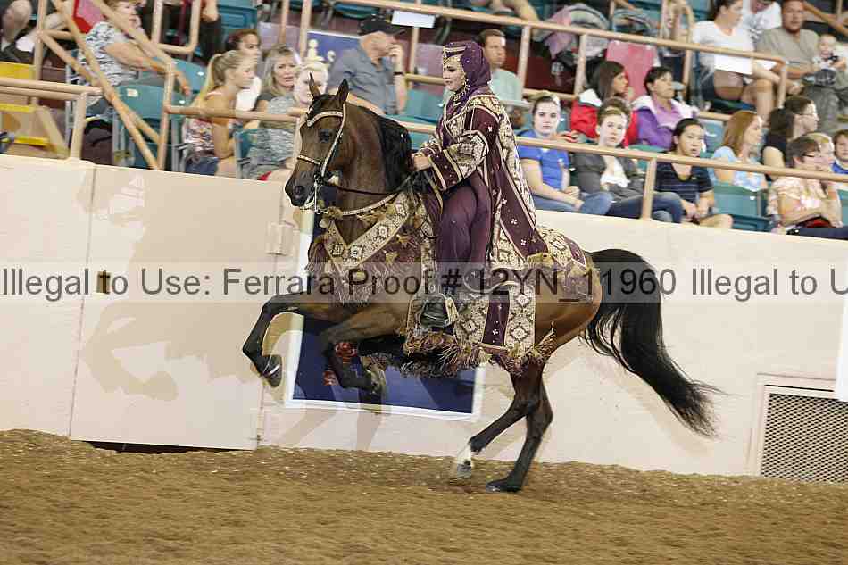 Proof Number 12yn_11960