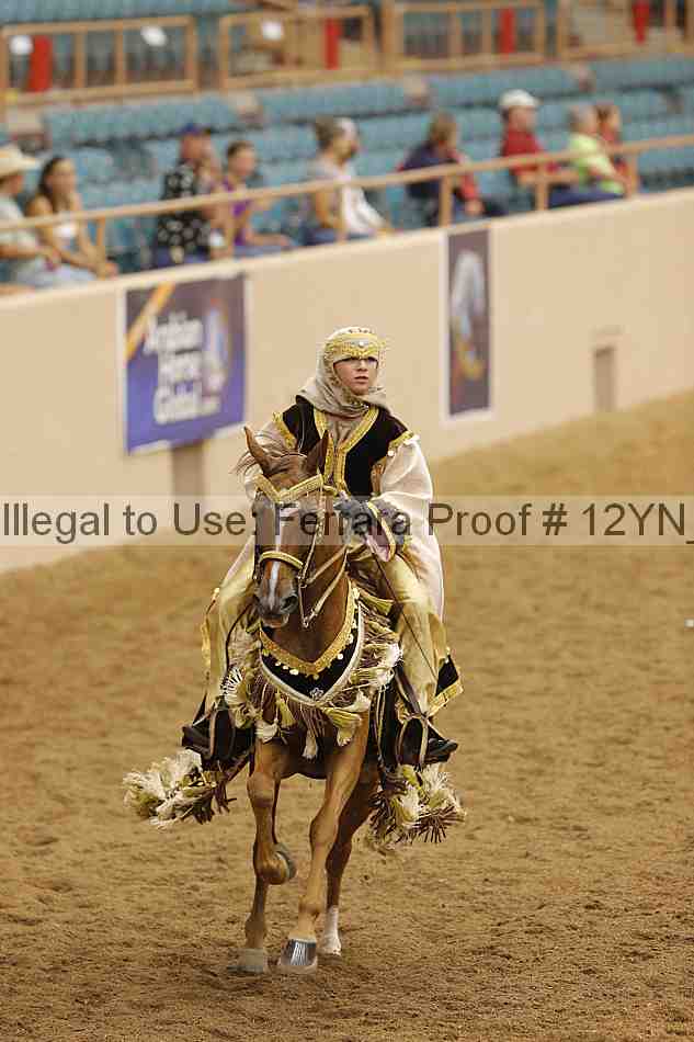 Proof Number 12yn_11969