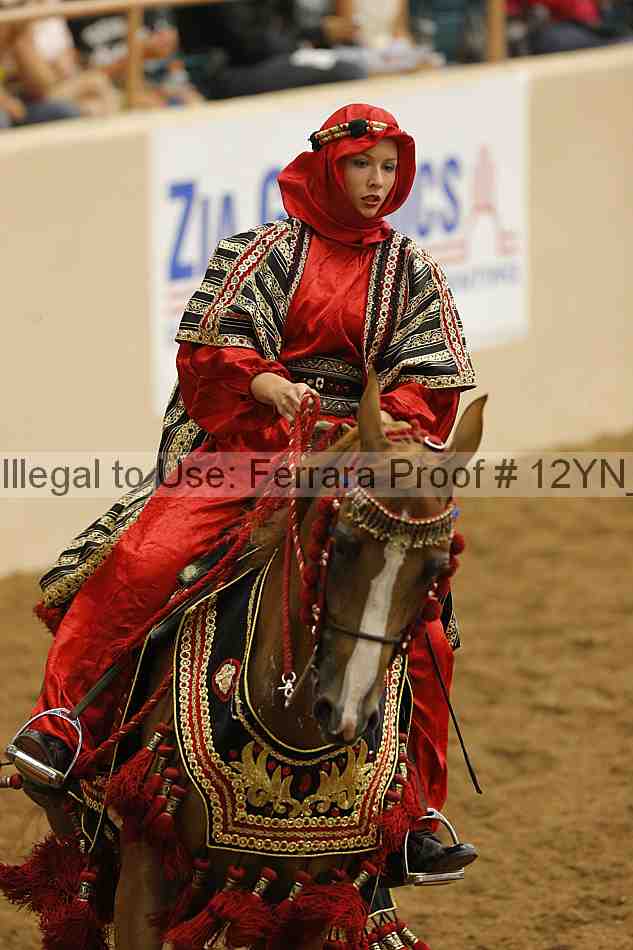 Proof Number 12yn_11973