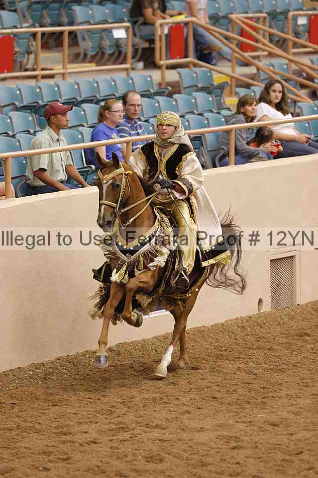 Proof Number 12yn_11974