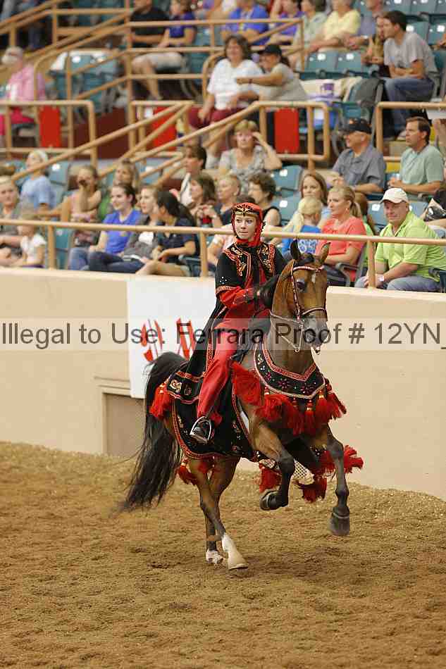 Proof Number 12yn_11979