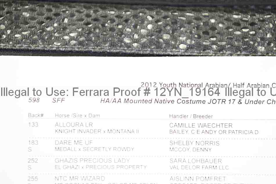 Proof Number 12yn_19164