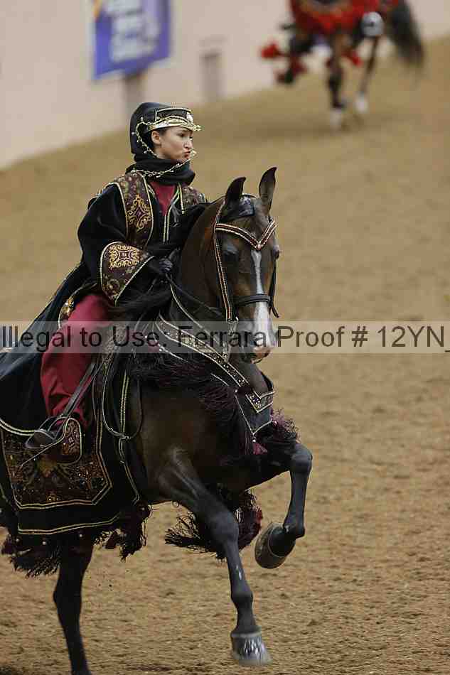 Proof Number 12yn_19188