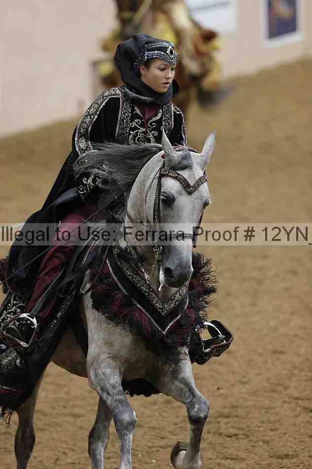 Proof Number 12yn_19209