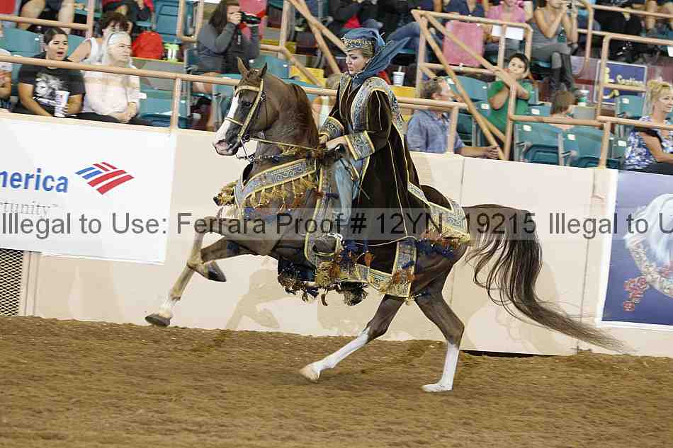 Proof Number 12yn_19215